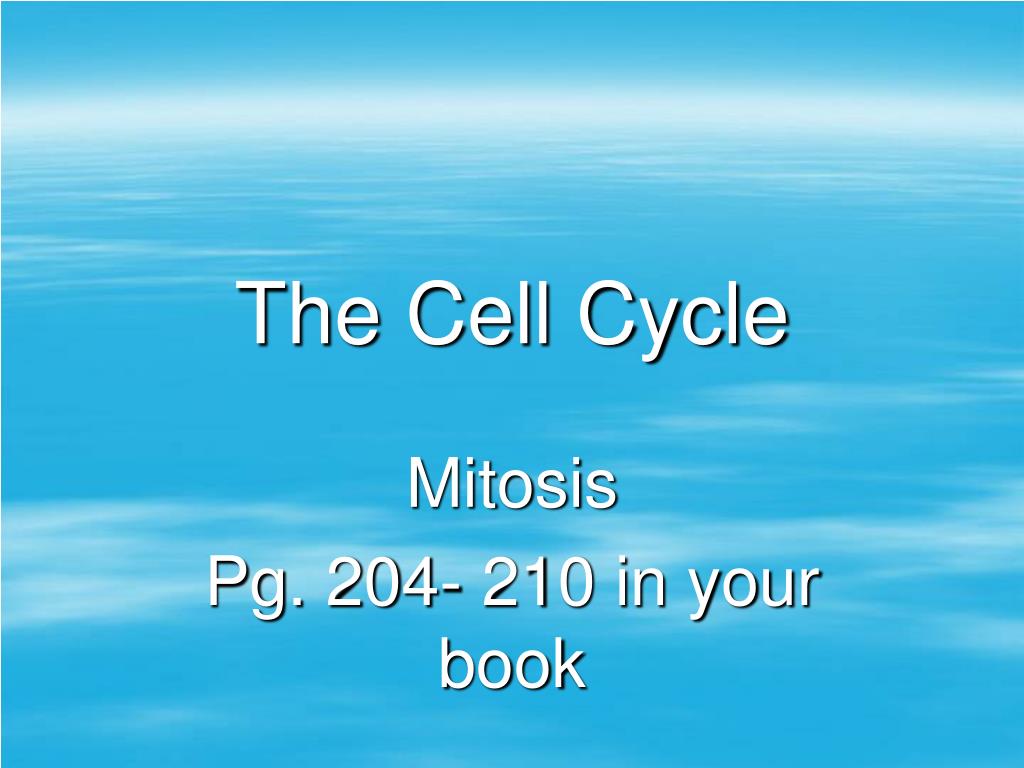 PPT - The Cell Cycle PowerPoint Presentation, free download - ID:555495