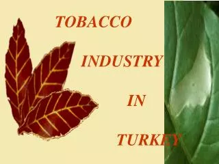 TOBACCO INDUSTRY IN TURKEY