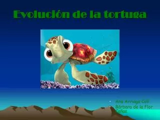evoluci n de la tortuga