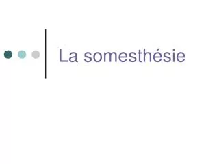 la somesth sie