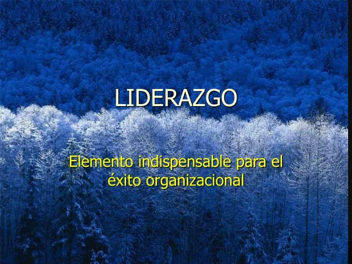 liderazgo