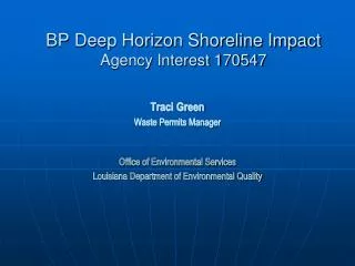 BP Deep Horizon Shoreline Impact Agency Interest 170547