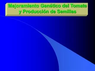 Mejoramiento Genético del Tomate y Producción de Semillas