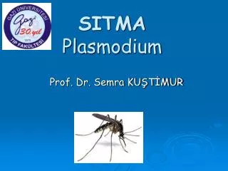 SITMA Plasmodium
