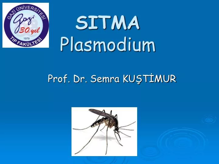 sitma plasmodium