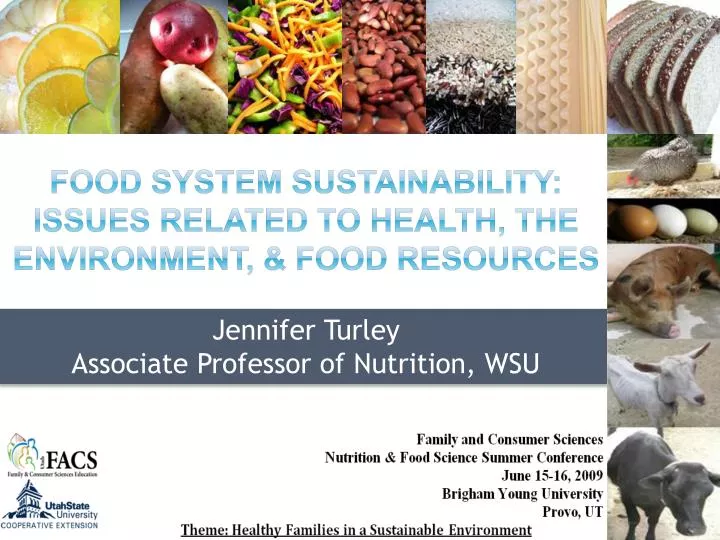 food system sustainability issues related to health the environment food resources
