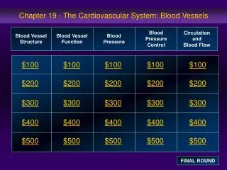 Chapter 19 - The Cardiovascular System: Blood Vessels