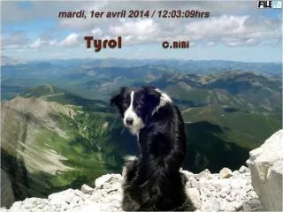 Tyrol C.BiBi