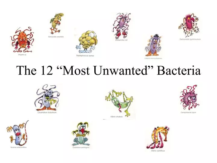 the 12 most unwanted bacteria