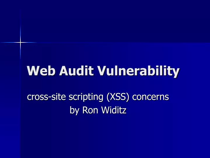 web audit vulnerability