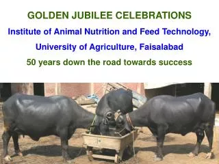GOLDEN JUBILEE CELEBRATIONS Institute of Animal Nutrition and Feed Technology, University of Agriculture, Faisalabad 50