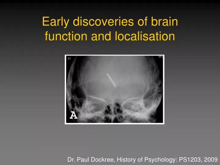 early discoveries of brain function and localisation