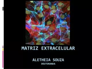 Matriz extracelular aletheia Souza doutoranda
