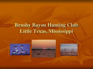 Brushy Bayou Hunting Club Little Texas, Mississippi