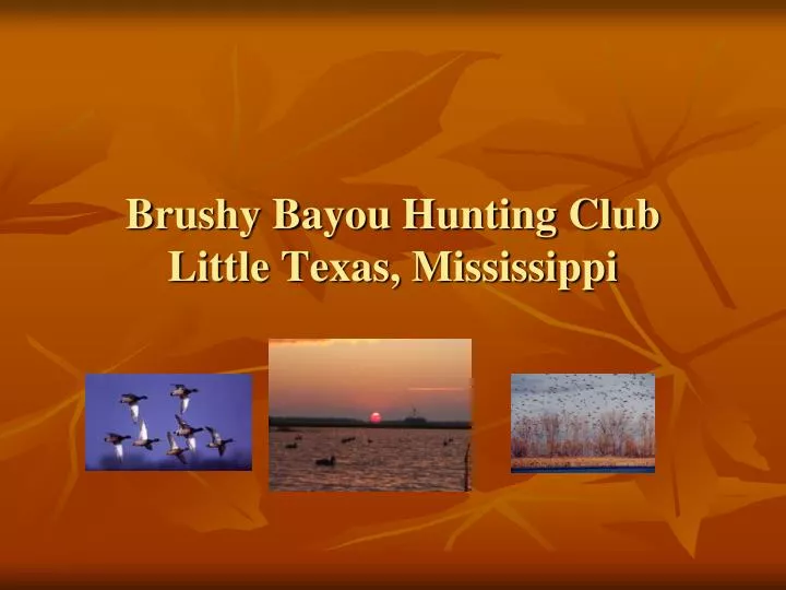 brushy bayou hunting club little texas mississippi