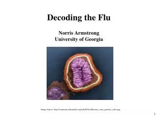 Decoding the Flu Norris Armstrong University of Georgia
