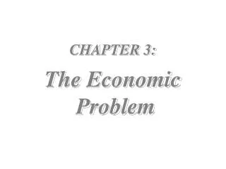 CHAPTER 3: The Economic Problem