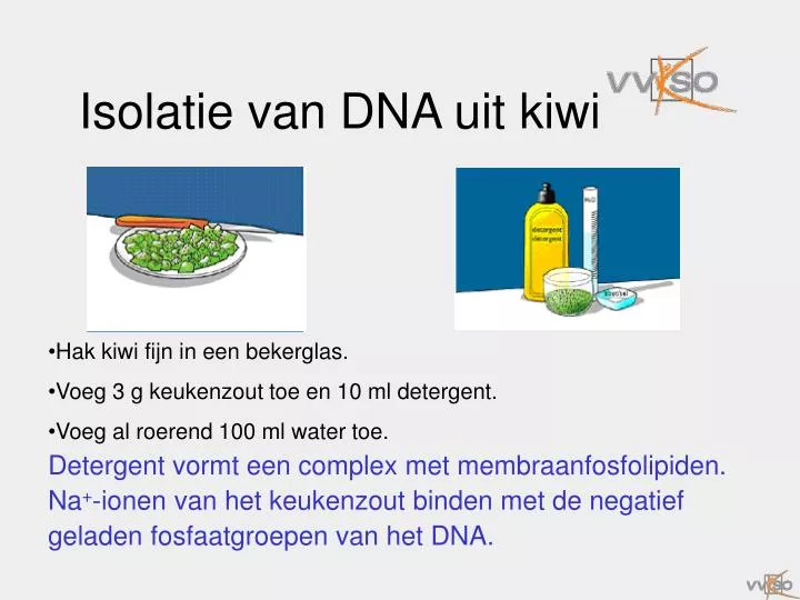 isolatie van dna uit kiwi