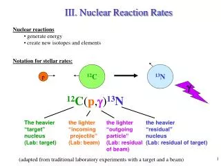 III. Nuclear Reaction Rates