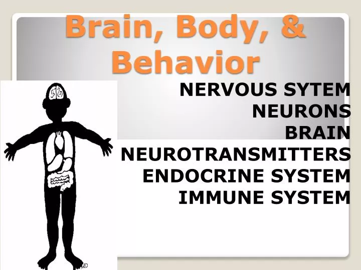 brain body behavior