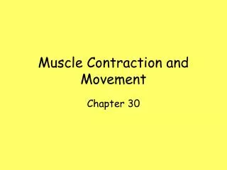 Muscle Contraction and Movement