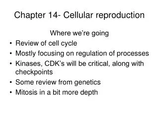 Chapter 14- Cellular reproduction
