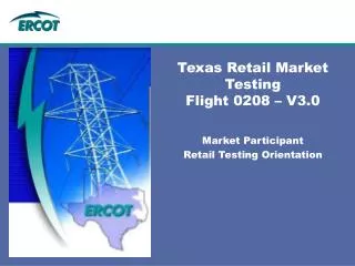 Texas Retail Market Testing Flight 0208 – V3.0