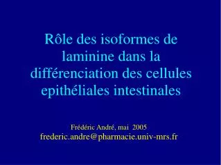 Rôle des isoformes de laminine dans la différenciation des cellules epithéliales intestinales