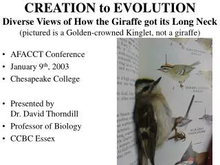 CREATION to EVOLUTION Diverse Views of How the Giraffe got its Long Neck (pictured is a Golden-crowned Kinglet, not a gi