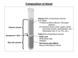 Composition of blood