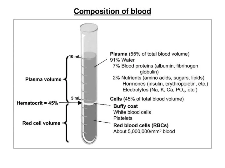 composition of blood