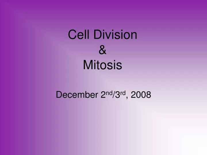 cell division mitosis