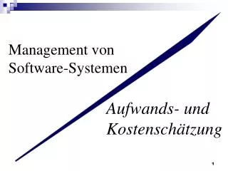 Management von Software-Systemen