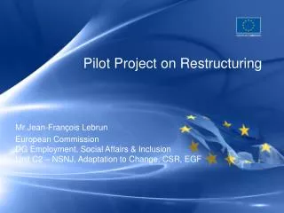 Pilot Project on Restructuring