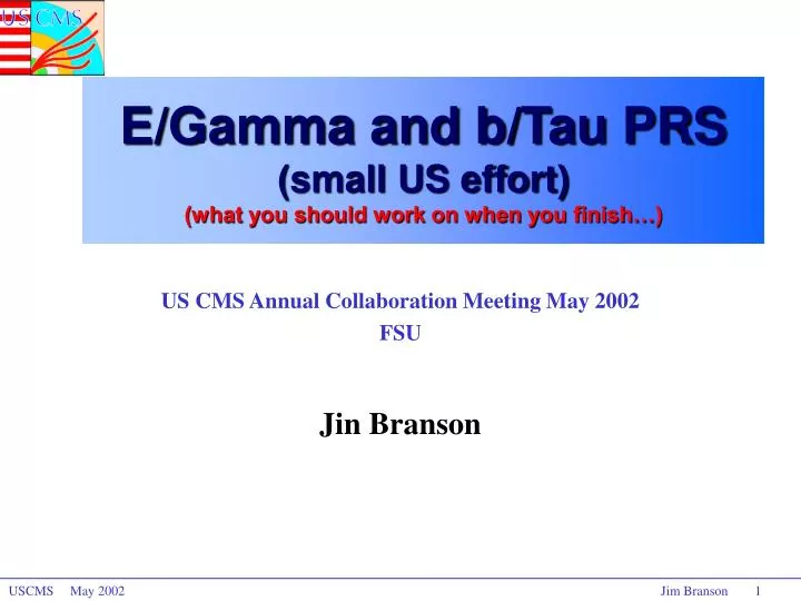 e gamma and b tau prs small us effort what you should work on when you finish