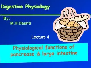 Digestive Physiology