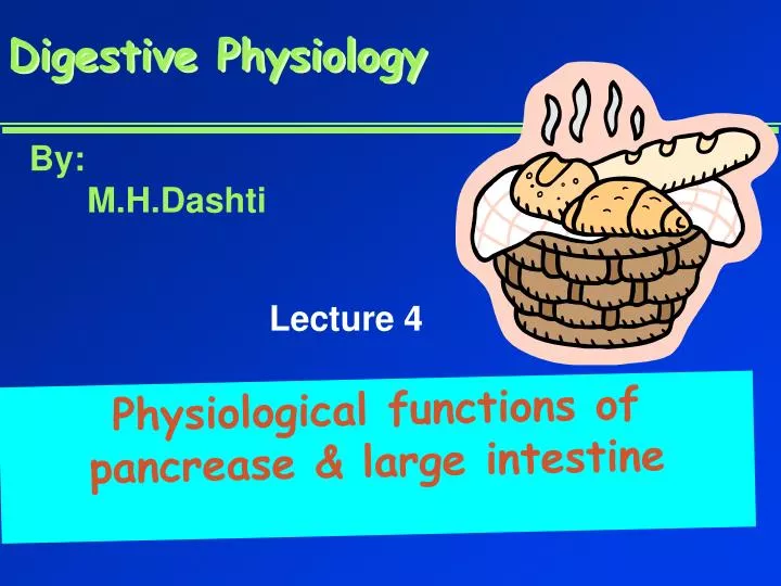 digestive physiology