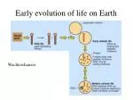 Early evolution of life on Earth