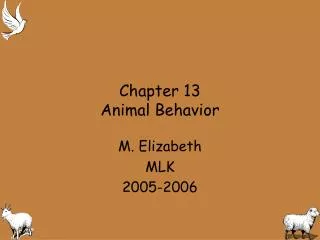 Chapter 13 Animal Behavior