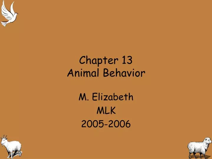 chapter 13 animal behavior