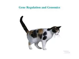 Gene Regulation and Genomics