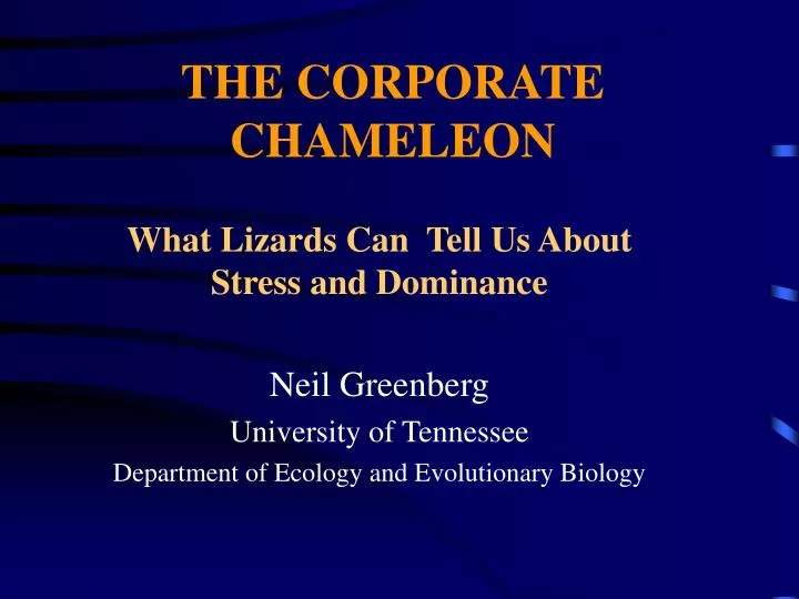 the corporate chameleon
