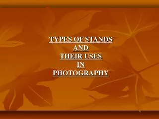 Types of Stands and Their Uses in Photography