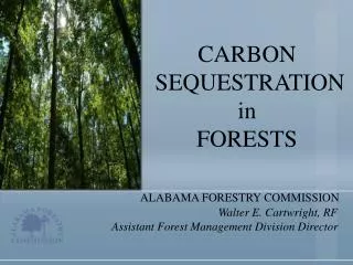 CARBON SEQUESTRATION in FORESTS
