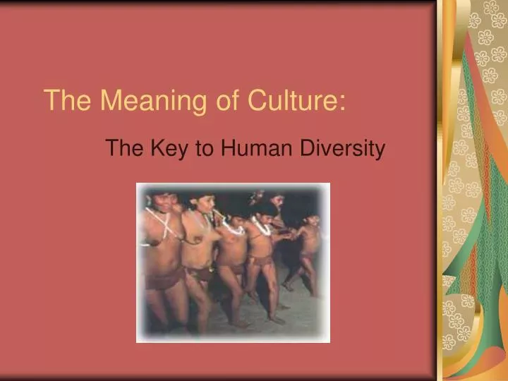 the meaning of culture