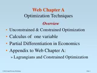 Web Chapter A Optimization Techniques