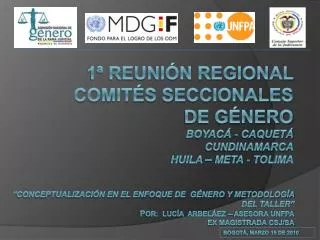 1ª Reunión REGIONAL comités seccionales de género BOYACÁ - CAQUETÁ CUNDINAMARCA HUILA – META - TOLIMA