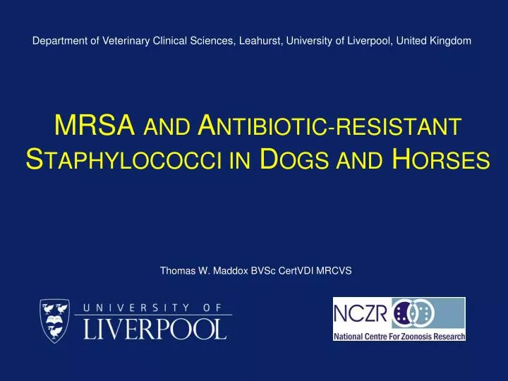 mrsa and a ntibiotic resistant s taphylococci in d ogs and h orses