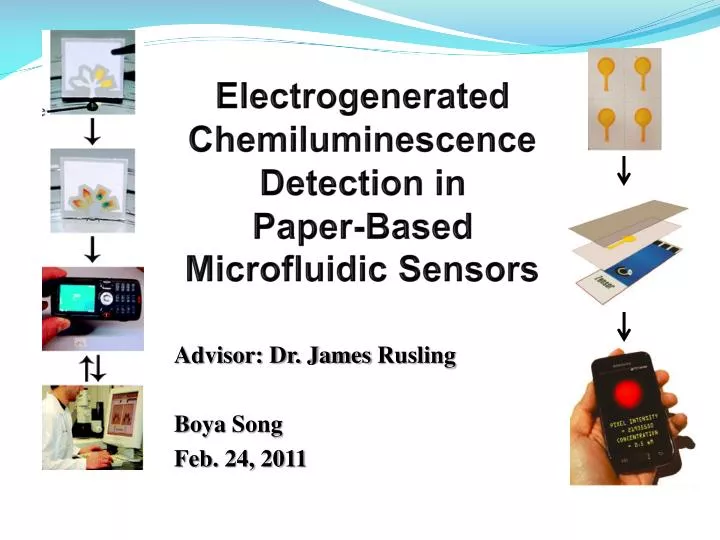 electrogenerated chemiluminescence detection in paper based microfluidic sensors