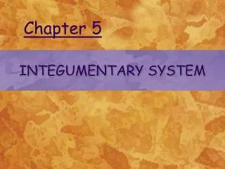 chapter 5